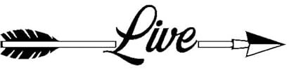 JIFENLI Car Sticker 12.9CM*2.8CM Car Sticker Live Arrow Safety Vinyl Decal Black Silver