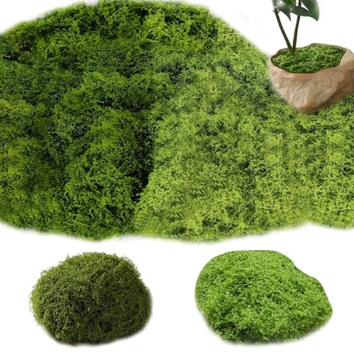 Goldyida Künstliches Moos Deko 200g Konservierte Rentiermoos Moos Deko Floristik Moos Konserviert Kunstmoos zum Dekorieren Kunstmoos zum Basteln für Garten, Blumenarrangements, Basteln