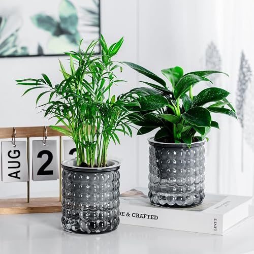 Funducts Selbstbewässernde Pflanzgefäße für Zimmerpflanzen, afrikanische Veilchen-Töpfe mit Dochtseil, Blumen, Sukkulenten, Kräuter, Zimmerpflanzen, Grau, 2 Stück