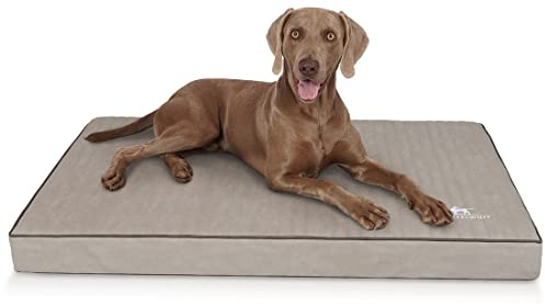Knuffelwuff orthopädische Hundematte Palomino aus Laser-gestepptem Kunstleder XXL 115 x 80cm Grau - rutschfeste Unterboden - leicht zu reinigen - für große, mittelgroße und kleine Hunde