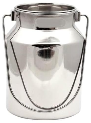 Generic Jewellary Hub MMMTC005 - Jarra de leche de metal de acero inoxidable | Jarrones de leche vintage | Galón de leche plateado | Latas de leche rústicas con tapas (acero inoxidable, 10 litros),