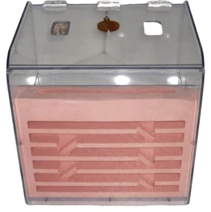 Ameisenfarm Formicarium Ameisenfarm Aus Gips Und Acryl Mit Großer Kapazität, Ameisenbetrachtungs-Lebensraum, Villa, Pädagogisches Lernset Ameisenfarm für Draußen