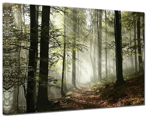 TAOMI Kunstdruck auf Leinwand, Modern, Wald, Bäume, Nebliger Morgen, Frühling, Landschaft, Kunstdruck, Gerahmtes Gemälde, Heimbüro, Wanddekoration, 40,6 x 61 cm, Tyndall-Effekt Relax