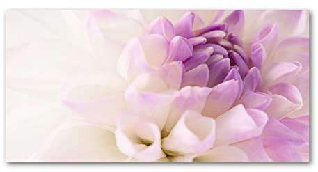 Tulup Glas-Bild Wandbild aus Glas - Wandkunst - Wandbild hinter gehärtetem Sicherheitsglas - Dekorative Wand für Küche & Wohnzimmer 100x50 - Blumen & Pflanzen - Weiße Dahlie - Lila