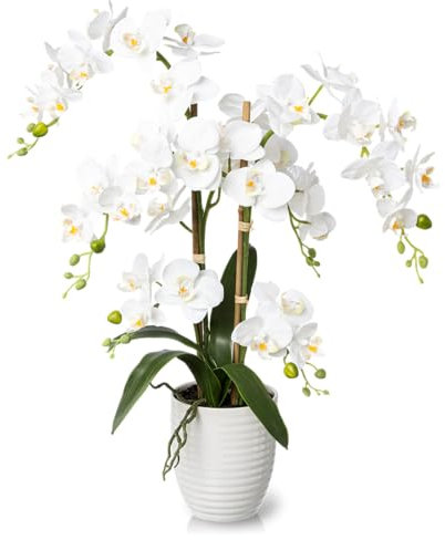 PASCH® XXL Kunstblume Orchidee groß (70cm) in edlem Keramiktopf | Orchideen künstlich | Kunstblumen wie echt