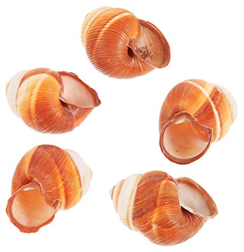 SEWOART 5pezzi Gusci Naturali per Escargot Gusci per Resistenti al Calore per Ristoranti Francese