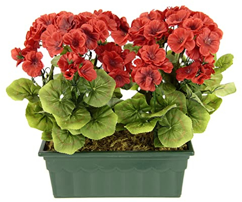 Flair Flower Künstliche Geranie im Kasten Geranienbusch Pelargonien Beetpflanze Balkonblume Seidenblumen Kunstblume Kunstpflanze Tischdeko Dekoblumen Dekopflanze, 088279R, Rot, 36x30x18 cm