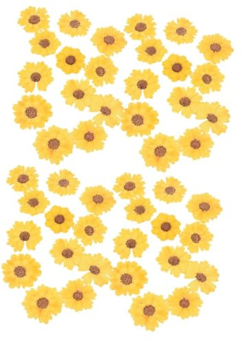SEWOART 48stücke Echte Getrocknete Blumen Für Pressblumen Für Schmuck Handyhüllen Karten Und Bastelarbeiten Snake Daisy Für Kreative Projekte