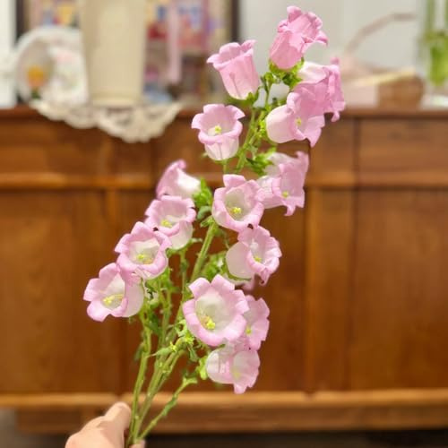 semi di campanula perenni rare, decorazione del soggiorno decorazione di campanule primaverile, semi di selvatici resistenti da giardino 100pcs