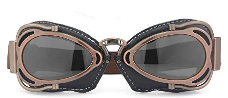 Heinmo Vintage Retro Pilotenbrille für Motorrad Cruiser Scooter Biker Racing (Smoked)