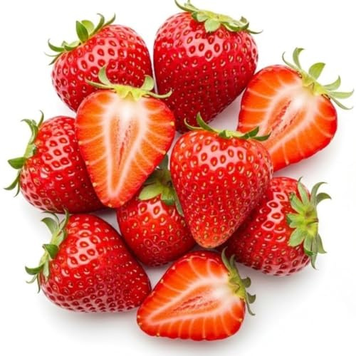 1,000 Strawberry Seeds for Planting – Perpetual Four Seasons Strawberry Seeds | Continuous Harvest for Home Gardens