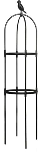 YIQIYOU Rankhilfe Garten Obelisk Metall Rankhilfe Rankobelisk Großes Pflanzen Rankhilfe, Witterungsbeständige Rosen Spalier, Rankhilfen für kletterpflanzen, Einfach Zu Montieren (Size : 25x120cm)