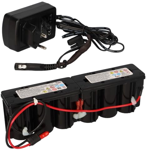 Hawker Cyclon 0819-0017 Batterie au plomb monobloc 12 V 2,5 Ah avec prise + chargeur pour batterie de tondeuse à gazon – Durable – Sans entretien – Fiable