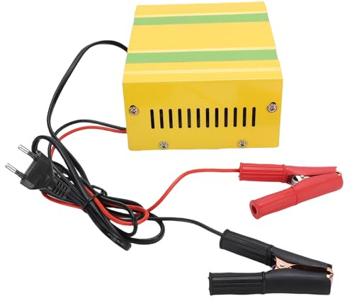 Cryfokt Smart -Batterie -Ladegerät, 220 W vielseitiger Gebrauchauto Batterie Ladegerät für LFP Gel Salat Nass für Motorrad (EU-Stecker)