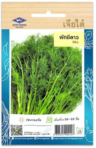 Graines d’Aneth CHIA TAI - Dill, Aneth Thaï, Lao Coriander - 3300 Graines - Importées de Thaïlande