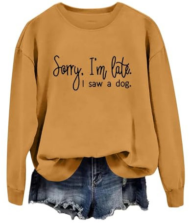 Purple Sweatshirt Women Womens Christmas Jumper Led Christmas Jumper Pullover Women Womens Aviator Jacket Long Hoodie Women Tunic Tops for Women UK Black Coat （Orange, XXL
