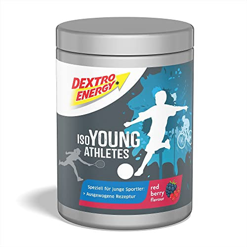 Dextro Energy Tablets - Blueberry