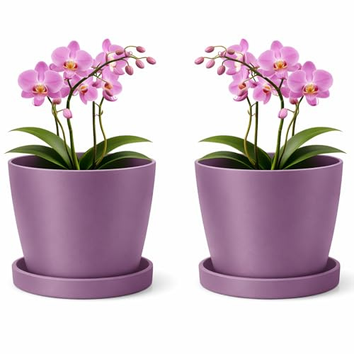 PECZEKO Vaso da fiori in plastica opaca, vaso decorativo per piante grandi e piccole, set di 2 vasi da fiori con sottovaso, vaso per erbe aromatiche, viola, diametro 12 cm