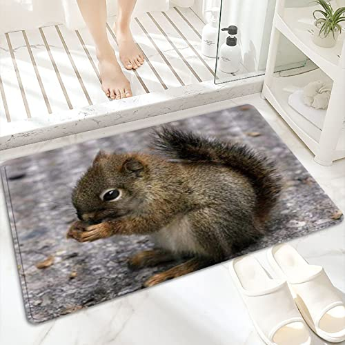 Badematte, rutschfest Waschbar Badezimmerteppich 60x100 cm,Tiere Schöne Eichhörnchen essen Tannenzapfen,Badvorleger mit Wasserabsorbierenden, Weichen Mikrofasern für Badewanne, Dusche und Badezimmer