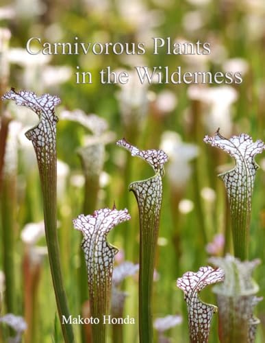 Carnivorous Plants in the Wilderness