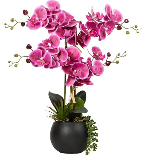 wilko Artificial Pink Orchid in Black Pot with Succulent, 47cm, Vibrant Pink Blooms, Lush Green Succulents, Ceramic Pot, Realistic Plastic Floristry, Home Decor, Gifting