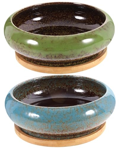 PHENOFICE 2ensembles Pots De Fleurs Céramique avec Soucoupe De Contenants pour Succulentes Et Cactus Pot Bonsai Vintage avec Drainage pour Décoration Intérieur Et Extérieur