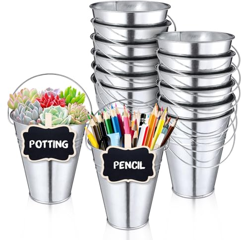 12PCS Small Galvanized Metal Buckets with Handle 12Chalkboard Clips, 5 x 4.5X 2.5 Inch Mini Metal Buckets Bulk Mini Pail Ice for Party Crafts Favors Plant Flower Sand Candy