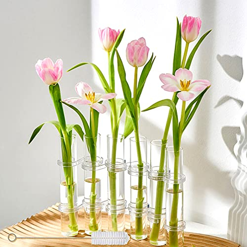 Aufklappbare Blumenvase, kreative Reagenzglasvasen, durchsichtige aufklappbare Glasvase, Hochzeitstischdekoration, Moderne Röhrenknospenvase für Blumen, Pflanzen, Heimdekoration