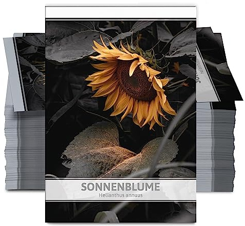 FLORTUS Sonnenblumen Samen für Gastgeschenke (100 Stück) | Blumensamen perfekt als Dankeschön Geschenke, Werbegeschenke & Trauerkarten Danksagung