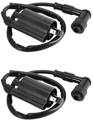 Zündspule 2X Motorrad-Zündspulen Für GS125 GN125 VX250 Für Virago 1100 XV1100 XV-1100 1995-2007 2006 2005 2004 2003 2002 Zündungen