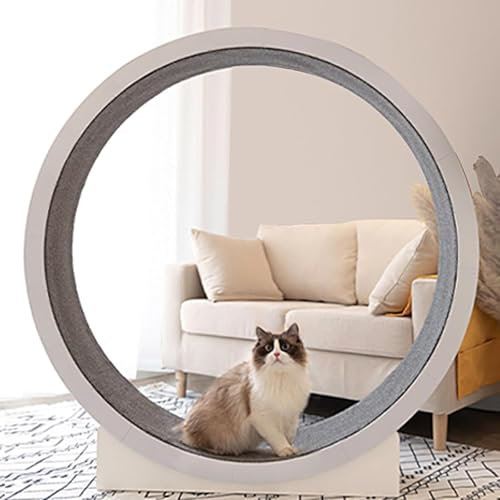 DDZJTPP Katzenlaufrad Großes Laufrad Für Katzen 120cm,Katzenlaufrad Für Wohnungskatzen,Indoor-Übungsspielzeug Für Kleine/Mittelgroße,Cat Treadmill