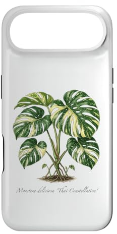 Monstera Thai Constellation plant illustration Case for iPhone Air