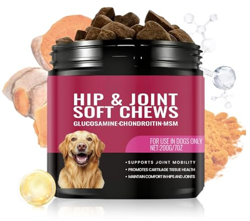 Yhsioaklo Supplément pour Articulations De Chiens | Comprimés De Soutien Et De Soins - Complément Nutritionnel Pour La Santé,Pour Les Soins Quotidiens Des Animaux De Compagnie En Intérieur Et