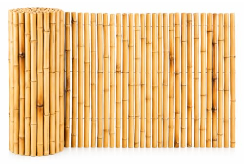 Floordirekt Bambus-Sichtschutzzaun Naturmaterial | Vollrohr Schilfrohrmatte | Schilfmatten Sichtschutz für Balkon, Terrasse oder Garten | Robust und witterungsbeständig (100 x 250 cm, Natur)