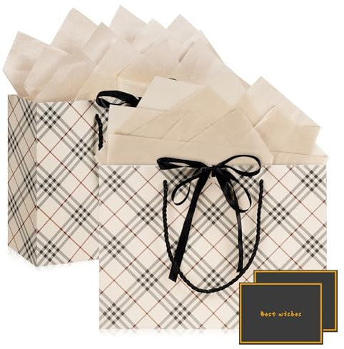 Papier Geschenktüten mit Griffen - 2 Stück mit 2 Taschentüchern und 2 Karten für Frauen, Mädchen, Brautjungfern und Geburtstage