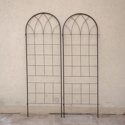 Treillis de jardin pour plantes grimpantes, treillis de support antirouille, clôture murale pour lierre, vigne, rose, clématite