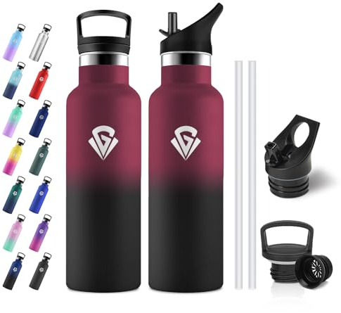 JAPORIA Gourde Isotherme 500ml, Bouteille Isotherme Double Paroi, sans BPA, Gourde Inox avec Paille pour l'école, Bureau, Extérieur, Camping