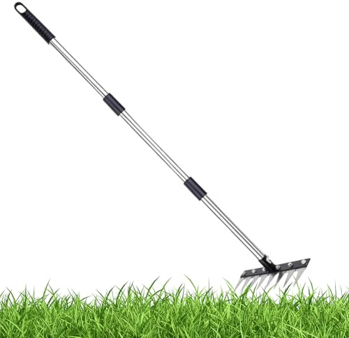 Stråkratta - Gräsmatteräfsa Lämplig 26,9 x 9,5 cm | 8-spetsig ogräsrensare i rostfritt stål, utomhusbearbetningsverktyg för skogar, Giardi