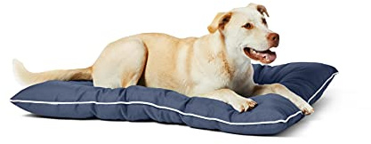 Amazon Basics – Outdoor-Haustierbett, wasserabweisend, Gr. L, Blau