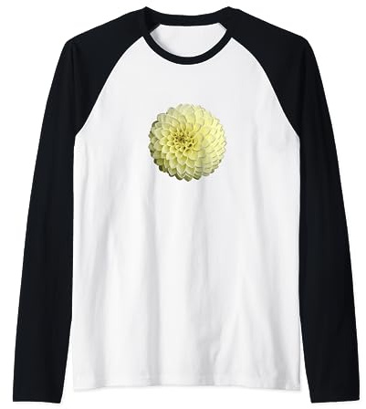 Grande fleur blanche de dahlia audacieux Manche Raglan