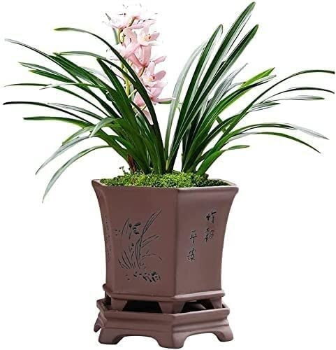 HUIMVNC Purple Sand Orchid Flower Pot Vintage Stoneware Breathable Plant Pots Personality Creative Indoor Home Bonsai Pots Outdoor Garden Cylinder Planter For Succulent Cactus No Plants Times