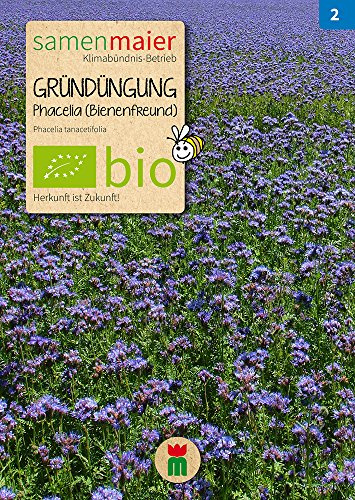 BIO Gründüngung Phacelia (Bienenfreund) Samen - Ideal für die Bodenverbesserung - Botanischer Name: Phacelia tanacetifolia - Aussaat von April bis September - Inhalt reicht für ca. 10 m² - Samen Maier