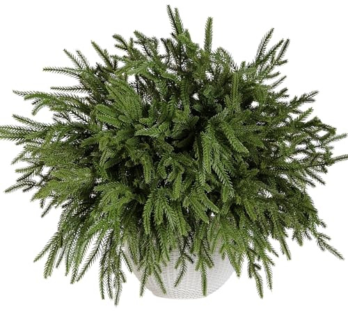 Tifuly 30 Heads Artificial Pine Branches,Real Touch Christmas Foliage,Norfolk Stem,Evergreen Pine Branches,Holly Stem,Christmas Tree Picks for Table Decoration(6Pcs)