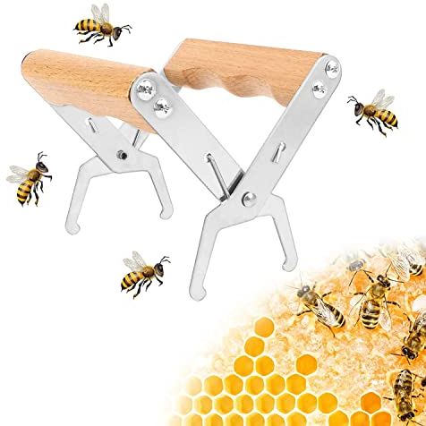 LATRAT Wabenzieher Zange mit Holzgriff aus Edelstahl, Bienenwaben Werkzeug Imkerei Zange für Imker zum Schutz vor Bienenstich