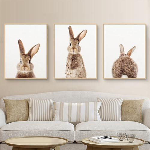 CULASIGN 3er Premium Poster Set, Kaninchen Bilder Ohne Bilderrahmen, Moderne Wandbilder Leinwand Wandkunst, Home Deko für Schlafzimmer und Wohnzimmer (DEF,40x50cm)