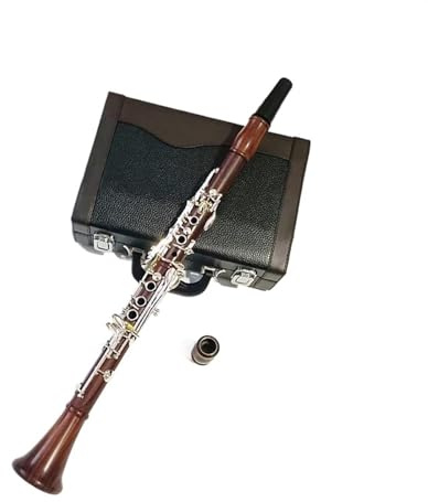 Professionelle Klarinette Aus Rotem Holz, Bb-Klarinette Aus Palisander, Versilberte Tasten, Massivholz