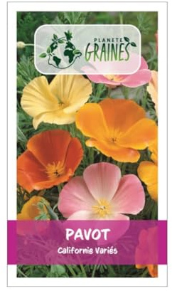 100 graines Coquelicot de Californie simple fleurs en mélange - ESCHSCHOLZIA