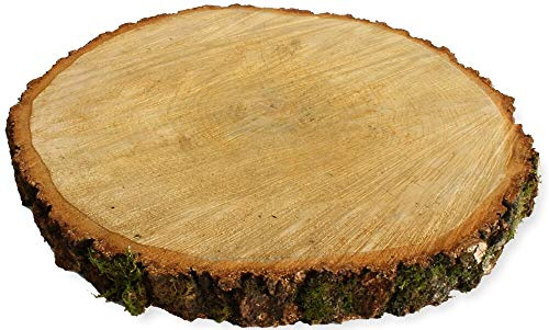 matches21 Disco de Madera de Abedul Real Disco de Madera de Abedul para decoración y Bricolaje - 1 Unidad Ø 35-40 cm