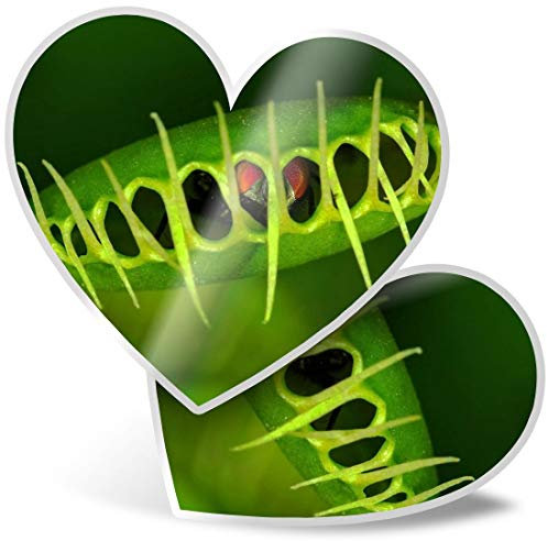 2 x 7.5cm He Stickers - Venus Flytrap Plant Nature Garden Decals 24372