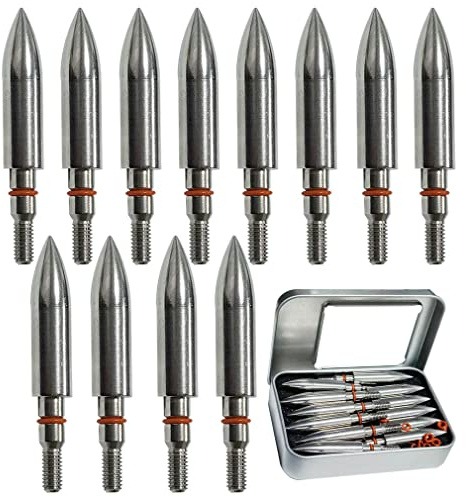 Field Points arrowheads 200 Grains Archery Field Points, 5/16 Stainless Steel Screw in Archery Field Tips and Broadheads (1 Dozen 12 PCS)